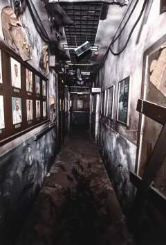 诺亚-资料图