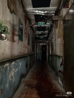 诺亚-资料图
