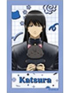 桂小太郎2-3年Z组银八先生with cat系列透卡