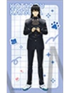 桂小太郎1-3年Z组银八先生with cat系列透卡