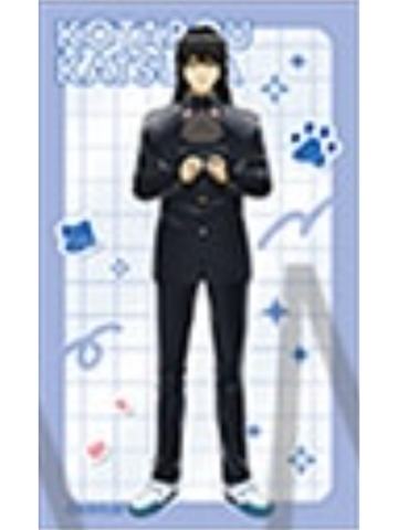 桂小太郎1-3年Z组银八先生with cat系列透卡