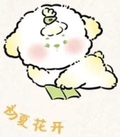初夏花开