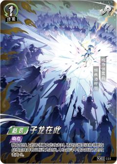 子龙在此