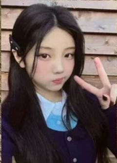 wvs预售4