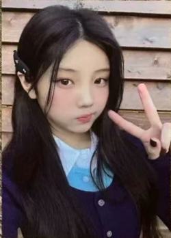 wvs预售4