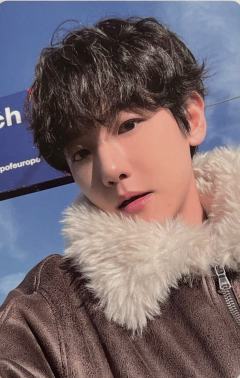 瑞士写真wm ver.B