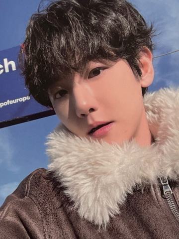 瑞士写真wm ver.B