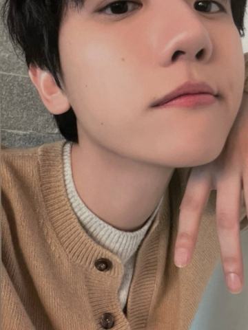 瑞士写真固配 ver.A1