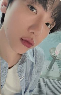 瑞士写真wm ver.A