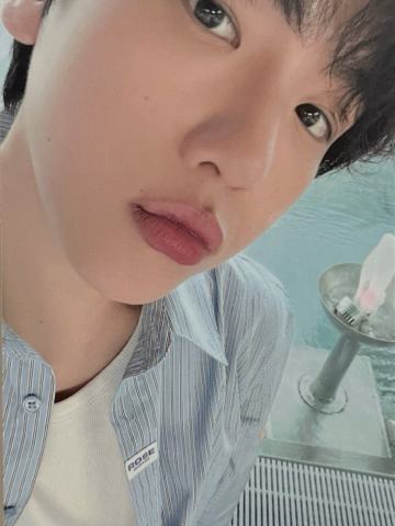 瑞士写真wm ver.A