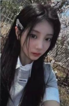 mp预售4
