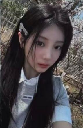 mp预售4