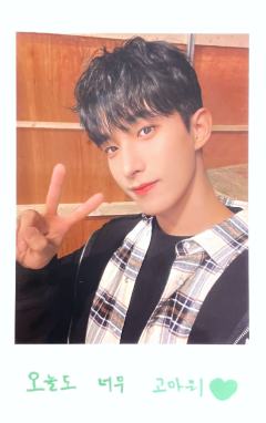 22克拉岛拍立得 硕