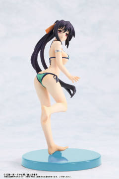 姬岛朱乃 Micro