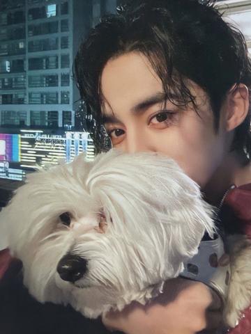 YES24/MP 签售卡 1