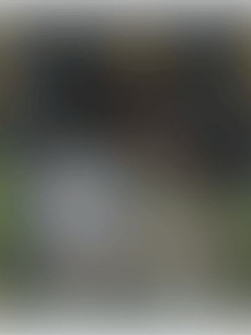 情缘牵绊19