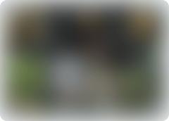 情缘牵绊19