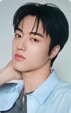 五周年回忆录wvs头