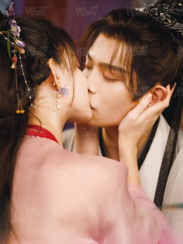 竹影摇曳8