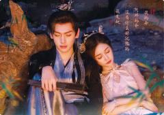 竹影摇曳5