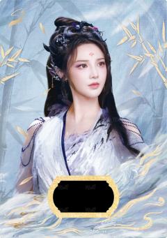 竹光铭章13