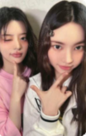 7net 12双人卡