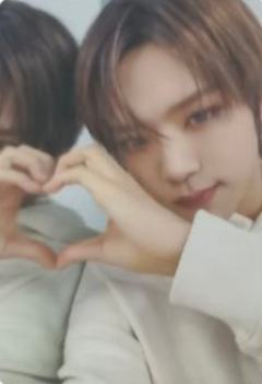 ms预售4