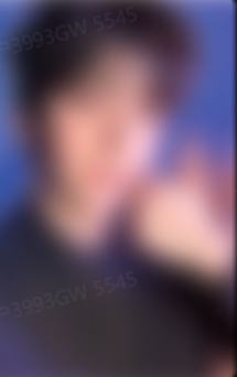 单封wvs预售2