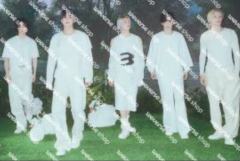 wvs团