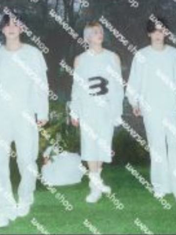 wvs团