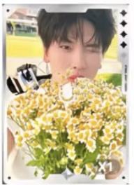 q音星光卡4 四星ver.