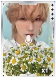 q音星光卡3 四星ver.