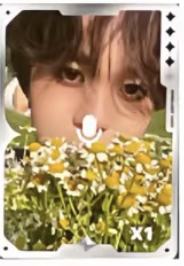 q音星光卡2 四星ver.