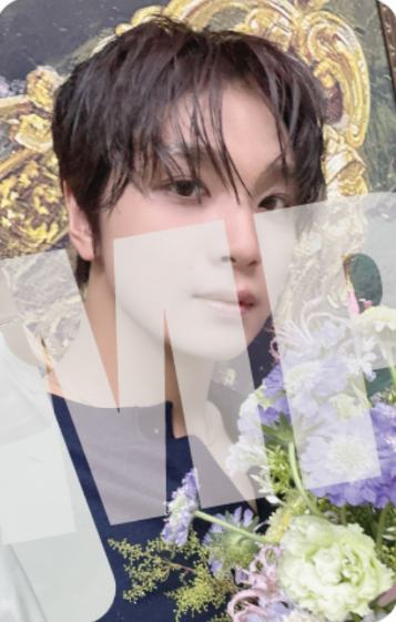 hmv ver.B