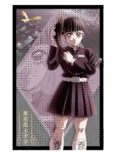 栗花落香奈乎B-ufotable无限城篇第一章 立绘相卡