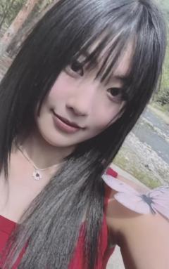 ny预售4