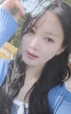 ny预售1