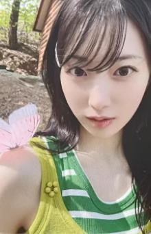 ny预售2