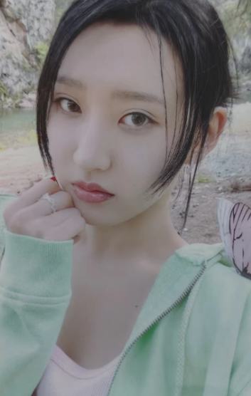 ny预售3