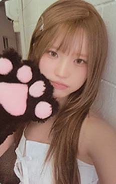 fromm续订卡1 ver.A