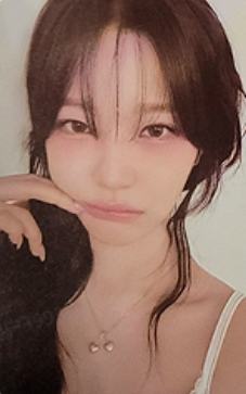 fromm续订卡5 ver.B