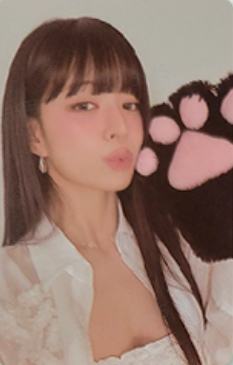 fromm续订卡3 ver.A