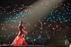 「一粒」陈粒十周年巡回演唱会-资料图