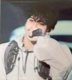 日巡蓝光wvs贴纸 奎