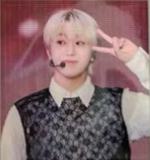 日巡dc wvs贴纸 甜