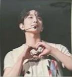 日巡dc wvs贴纸 刷