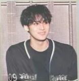 日巡dc wvs贴纸 奎