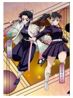 栗花落香奈乎&蝴蝶忍-2025Kura寿司联动文件夹