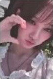 pc预售6 nemo ver.