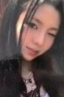 pc预售5 nemo ver.